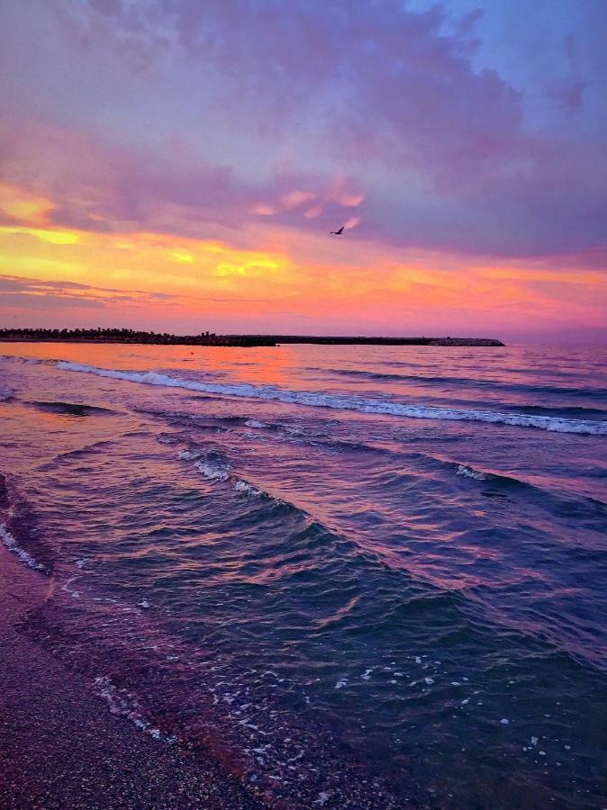 Loft Apartment Mamaia